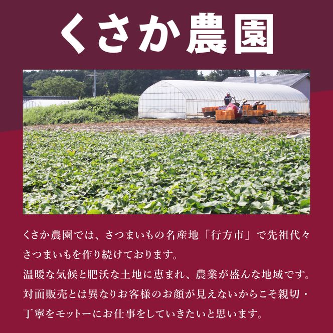 茨城県行方市特産紅はるか 2Sサイズ(A品・B品ミックス) 約10kg｜さつまいも 紅はるか(FU-5)