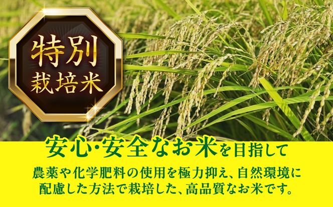 にこまる 白米 5kg / 戸倉トラクター[AECS055]