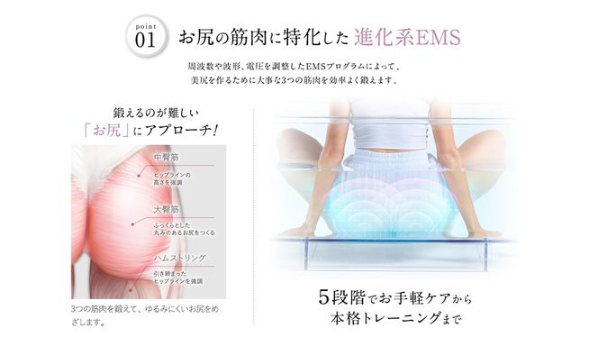 WAVE WAVE EMS Hydro Mat EMS LED 光エステ 美尻 ボディメイク トレーニング 宅トレ 足 足裏 ふくらはぎ 太もも 筋トレ フットマッサージャー ダイエット