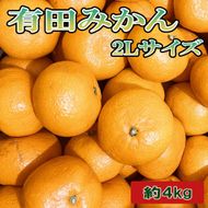 [秀品]和歌山有田みかん4kg(2Lサイズ) ｜ ふるさと納税 ミカン