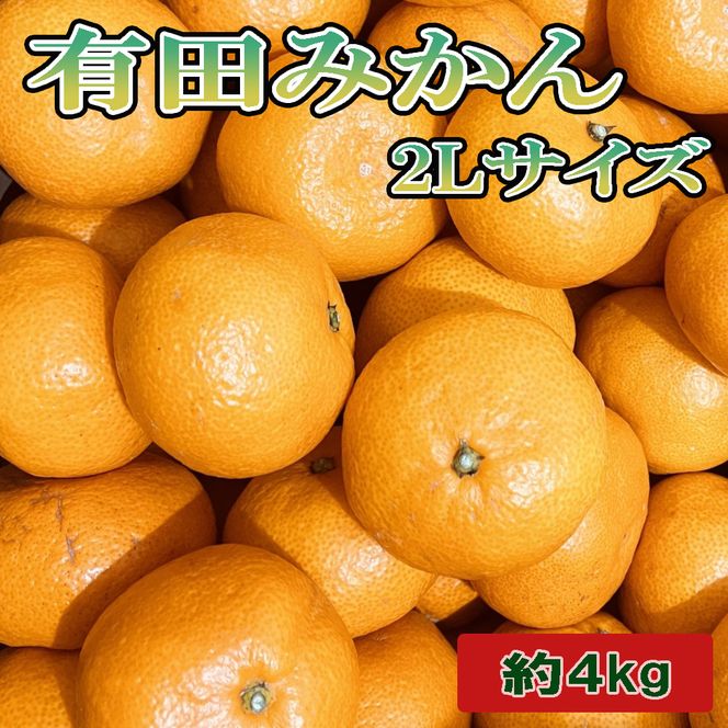 [秀品]和歌山有田みかん4kg(2Lサイズ) ｜ ふるさと納税 ミカン