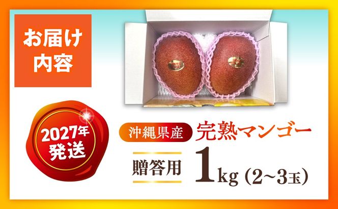 【先行予約】【優秀賞受賞】沖縄県産 完熟マンゴー 贈答用 1kg (2〜3玉) マンゴー 沖縄 果物 フルーツ ギフト 沖縄市 / MAIFARM[BCAN001]