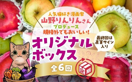 B088 山野りんりん直筆サイン入り規格外でも美味しい　SDGｓなフルーツ定期便（6回）