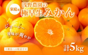 【先行予約】浅野農園の極早生みかん 家庭用5kg ※離島への配送不可（2026年10月上旬～11月中旬頃より順次発送予定）IKTAC012