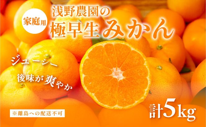 【先行予約】浅野農園の極早生みかん 家庭用5kg ※離島への配送不可（2026年10月上旬～11月中旬頃より順次発送予定）IKTAC012