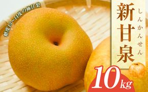 新甘泉（しんかんせん）10kg（JA） ※2026年8月中旬～9月上旬頃に順次発送予定 313726_AT002