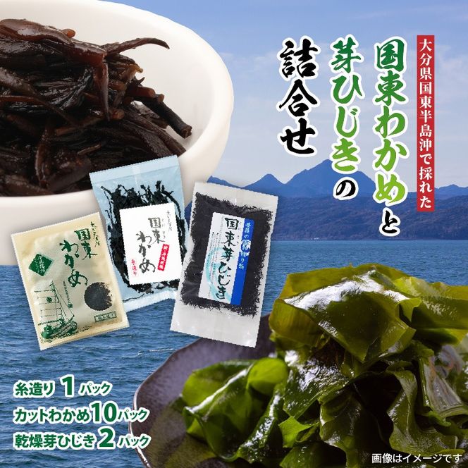 国東わかめ(糸造り,カット),芽ひじきの詰合せ_1095R
