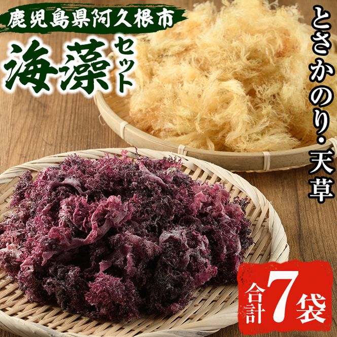 阿久根の海藻セット「とさかのり・天草」(合計7袋) 国産 鹿児島県産 海藻 心太 おかず 料理 小分け 個包装 乾物【福美丸水産】akn033-03