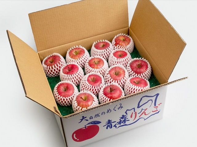 《先行予約》 りんご 特選 サンふじ 青森県産 約 10kg  (24～32玉） フルーツ 果物 ふじ 産地直送 お取り寄せ 送料無料 青森県 鰺ヶ沢町 《西樹園》