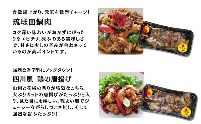 普龍通冷凍本格旨辛中華料理（琉球ホット：冷凍品）24個入り