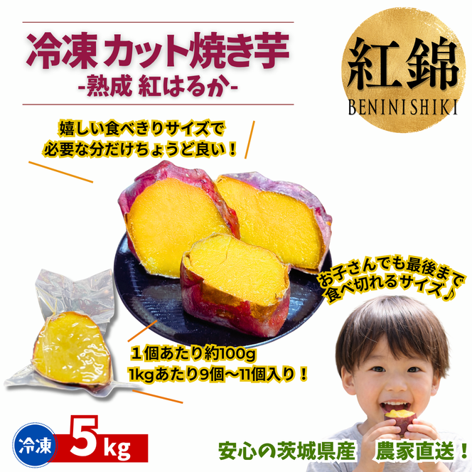 冷凍カット焼き芋（紅はるか）約5kg(100g×50袋)｜冷凍焼き芋 個包装 熟成紅はるか 約5kg 100g×50袋 カット焼き芋 茨城県産 行方市 紅錦 サツマイモ 冷凍焼き芋 国産 おやつ スイーツ 和スイーツ 冷やし焼き芋 無添加 小さいサイズ（IE-10）