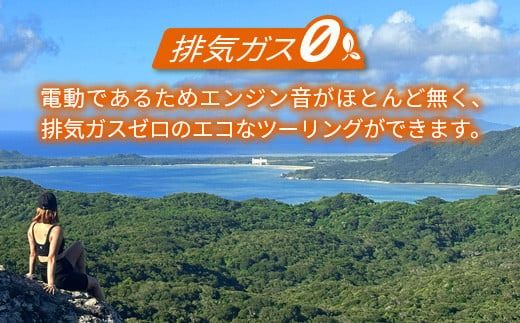 電動三輪バギーで行くレンタル2時間(3人乗り)【 沖縄 石垣島 レンタル バイク バギー トライク 車 】RO-2