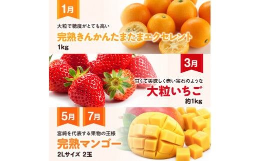 【 全6回定期便 】 プレミアム デラックス 定期便 【奇数月】 【 川南町産 きんかん いちご 完熟 マンゴー ぶどう ピオーネ 赤肉 メロン 】[D11716t6]