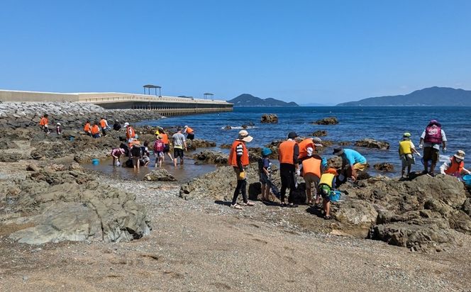 海洋体験施設うみんぐ大島 ビーチコーミング体験1名様分【(株)むなかた大島】_HA2025 体験 チケット 福岡県宗像市 宗像市 福岡 宗像