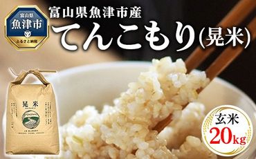 【令和6年度米】環境配慮「魚津のてんこもり（晃米）」20kg（玄米） ｜ MK農産 玄米 銘柄米 ご飯 おにぎり お弁当 和食 主食 国産 産地直送 甘み 香り もちもち ※2024年10月下旬頃より順次発送予定 ※北海道・沖縄・離島への配送不可