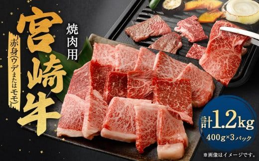 ＜宮崎牛赤身焼肉 1.2kg＞翌月末迄に順次出荷【c1337_ya】 宮崎牛 牛肉 黒毛和牛 赤身 焼肉 極上 肉質 宮崎県産