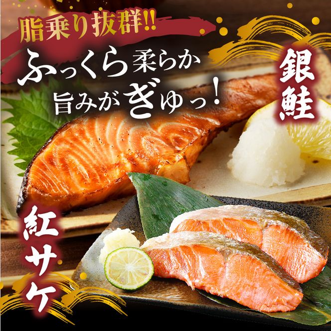魚鶴自慢 豪華お魚セット 全6回定期便_G60-T89
