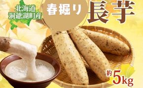北海道 洞爺湖町産 春掘り 長芋 約5kg 先行受付 4月中旬～下旬にお届け 長いも ながいも 芋 山芋 山うなぎ とろろ ステーキ 千切り 万能 旬 秋 野菜 根菜 常温 塩田農園 洞爺湖町 
