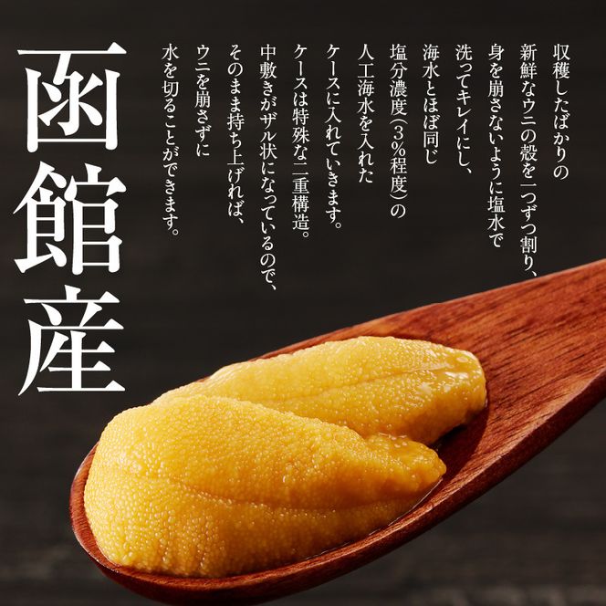 函館朝市 弥生水産 函館産 塩水ウニ 100g 1パック 冷蔵 塩水 うに 新鮮 割りたて とろける 舌触り 甘味 旨味 何もつけずに そのまま 漁師 ウニ漁 期間限定 数量限定 魚介 ウニ丼 酒の肴 おつまみ 北海道 函館 送料無料 お取り寄せグルメ_HD032-045