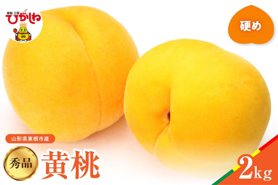 [2026年産]黄桃 品種おまかせ 秀品2kg(硬め) 山形県 東根市 hi062-061