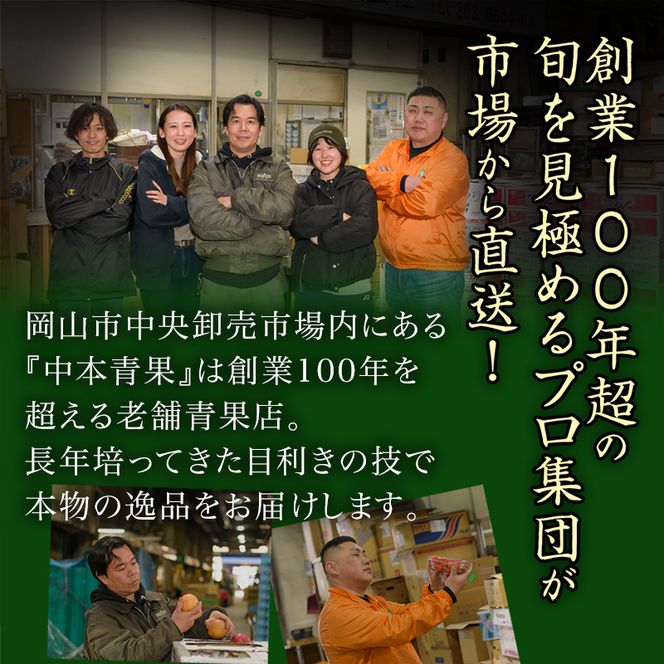 ぶどう 定期便 2026年 先行予約 晴れの国 岡山 の ぶどう定期便 3回コース 葡萄 ブドウ 岡山県産 国産 セット ギフト 旬のぶどう アレキサンドリア ニューピオーネ 強い甘み シャインマスカット 