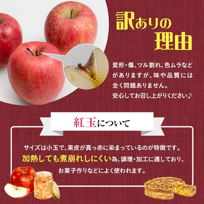 【訳あり】りんご 青森 紅玉 約 10kg (36～44玉) 青森県産 リンゴ サイキチ農園 青森県 鰺ヶ沢町産 フルーツ 果物 不揃い 傷 林檎