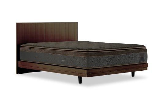 フランスベッド テレス01F 脚付きタイプ シングル／セミダブル マットレス付き／フレームのみ