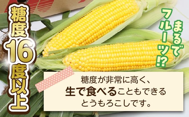 宮崎県産 スイートコーン 約4.5kg