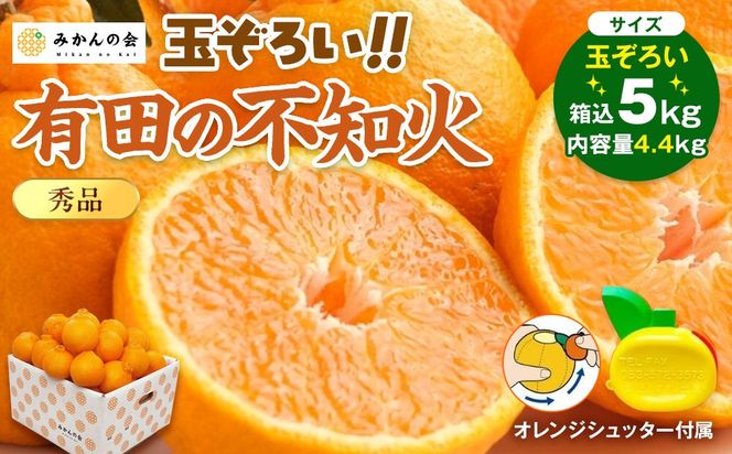不知火 (しらぬい) 秀品 玉ぞろい 箱込 5kg (内容量約4.4kg)  和歌山県産 産地直送［みかんの会］ AX137