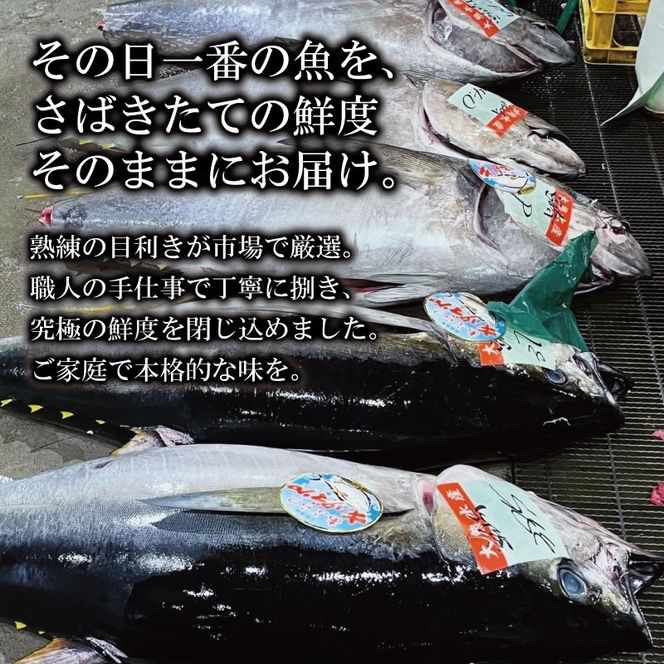 【冷蔵】 マグロ 天然マグロ 本まぐろ ブロック 400g ～ 500g まぐろ マグロ刺身 厳選 本マグロ マグロ たたき マグロ丼 鮪 マグロ漬け丼の具 冷蔵 新鮮 鮪 国産 マグロ ネギトロ丼 高知県産 マグロ まぐろ ブロック 赤身 天然 スライス刺し身 さしみ ユッケ 魚介 魚 海鮮 海鮮丼 おかず 惣菜 お取り寄せ ギフト プレゼント 父の日 高知県 おいしい 簡単 時短 海の幸 生鮮