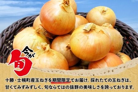 【CF2】《期間限定》北海道 士幌産 たまねぎ 玉ねぎ タマネギ 玉ネギ 玉葱 10kg (2025年12月～発送開始予定)  採れたて オニオン 旬の野菜 期間限定 新鮮 野菜 産地直送 産直 お取り寄せ 送料無料 十勝 士幌町 9000円 【V07】