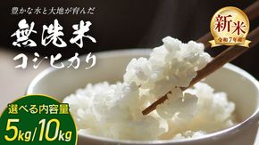＼ 選べる内容量 ／【 無洗米 】令和7年産 新米 コシヒカリ 5kg/10kg 茨城県つくばみらい市産 時短 手軽 粘り 甘み 茨城 こしひかり 令和7年
