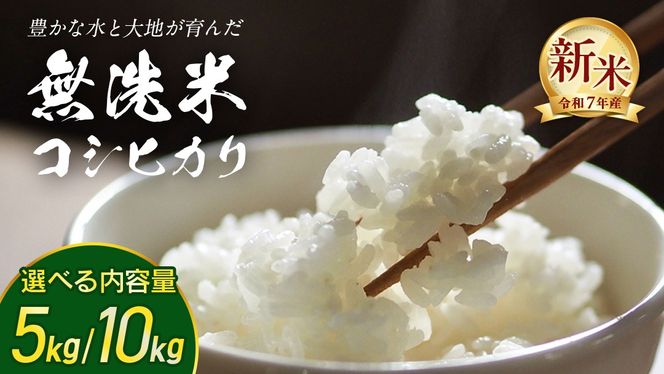 y錧΂݂炢sz_ Iׂe ^y  zߘa7NY V RVqJ 5kg/10kg 錧΂݂炢sY Z y S Â  Ђ ߘa7N