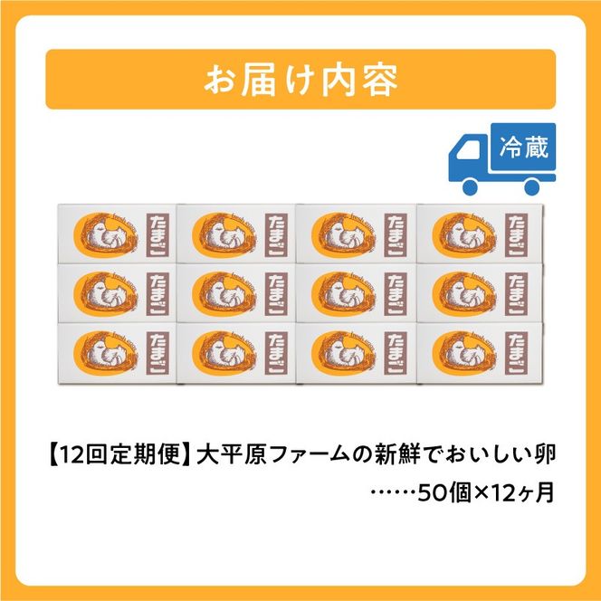 【12回定期便】大平原ファームの新鮮でおいしい卵 計40個(赤卵)×12ヶ月_S035-0018