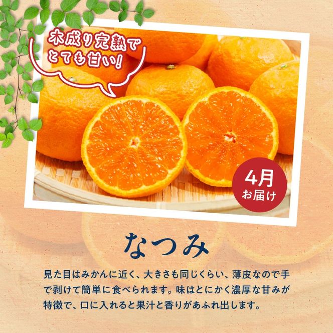 G60-T76_【定期便 全3回】紀州和歌山産旬のフルーツ定期便（田村みかん、いちご、なつみ）