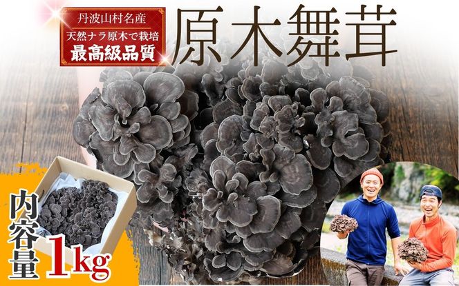 yROgRzy2026Ns\zOgRY ؕ 1kg 2026NH菇\ / OgRY  _ Y  ܂ }C^P ؍͔| ̂ LmR Ynytab0225-1000z