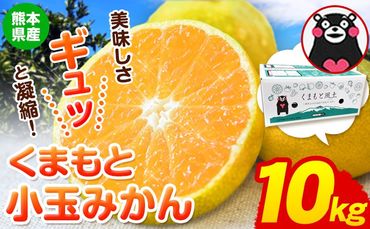  訳あり みかん くまもと小玉みかん 約 10kg (10kg×1箱)  蜜柑 小玉 旬 不揃い 傷 ご家庭用 SDGs 小玉 たっぷり 熊本県 産 S-3Sサイズ フルーツ 旬 柑橘 長洲町 温州みかん《10月下旬-11月中旬頃出荷》---fn_nkomikan_h10_24_11000_10kg---