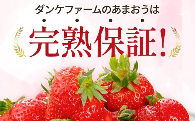 あまおう 約1100g（約275g×4パック） （先行受付／2025年3月下旬以降順次発送予定）いちご 苺 福岡高級 フルーツ お取り寄せ ご当地グルメ 福岡土産 取り寄せ グルメ 福岡県 食品 社会福祉法人 猪位金福祉会