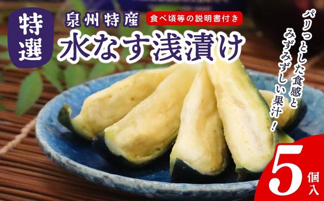099H4574 特選水なす浅漬け 5個入り【新鮮 野菜 泉佐野産 茄子 やさい 高評価 数量限定】