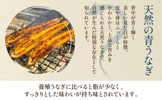 熊本県 八代市産 天然青うなぎの蒲焼 蒲焼セット 2尾（90g～110g×2） 自家製うなぎのタレ 鰻 ウナギ うなぎの蒲焼 丑の日 国産 うな丼 うな重