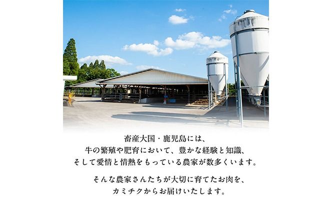 【小分け】＜A5等級＞鹿児島県産黒毛和牛 ヒレステーキ2種盛(240g×2パック/計480g) b6-023