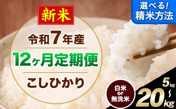 [12ヶ月定期便]新米 令和7年産 無洗米 も 選べる 定期便 こしひかり 白米 or 無洗米 選べる精米方法 定期便 内容量 5kg 10kg15kg 20kg 白米 精米 無洗米 熊本県産(南阿蘇村産含む) 単一原料米 南阿蘇村[11月から出荷開始]---kh7tei_150000_5kg_nov12_mna_h---