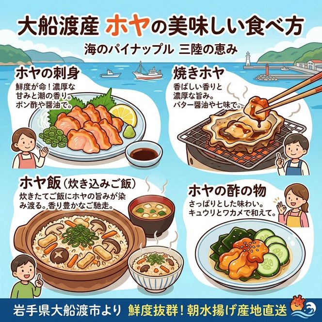 大船渡産 冷蔵 殻付きホヤ 5個 産地直送 朝どれ ほや 海鞘 海産物 海鮮 魚介 魚介類 珍味 大船渡 ニュース てれび TV テレビ 放送 番組 被災 災害 三陸 岩手県 国産
