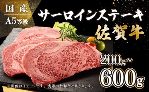 佐賀牛 サーロインステーキ 200g～600g B-954