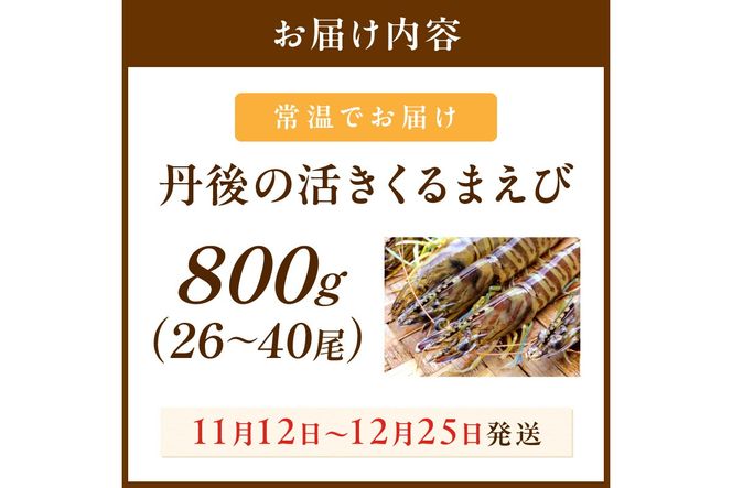 丹後の活きくるまえび 800g（26～40尾）　MN00062