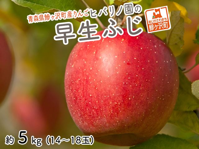 りんご 青森 早生ふじ 涼香の季節 リンゴ 約 5kg （14～18玉） 青森県 鰺ヶ沢町産 ヒバリノ園 フルーツ 果物 白神山地 林檎 ※オンライン決済のみ 