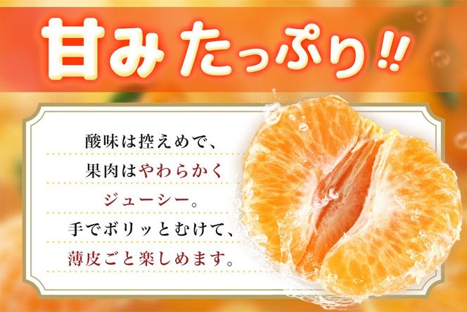 【2027年1月中旬より発送開始】ポンカン 10kg【みかん 柑橘 フルーツ デザート 貯蔵 高糖度】(H116147)