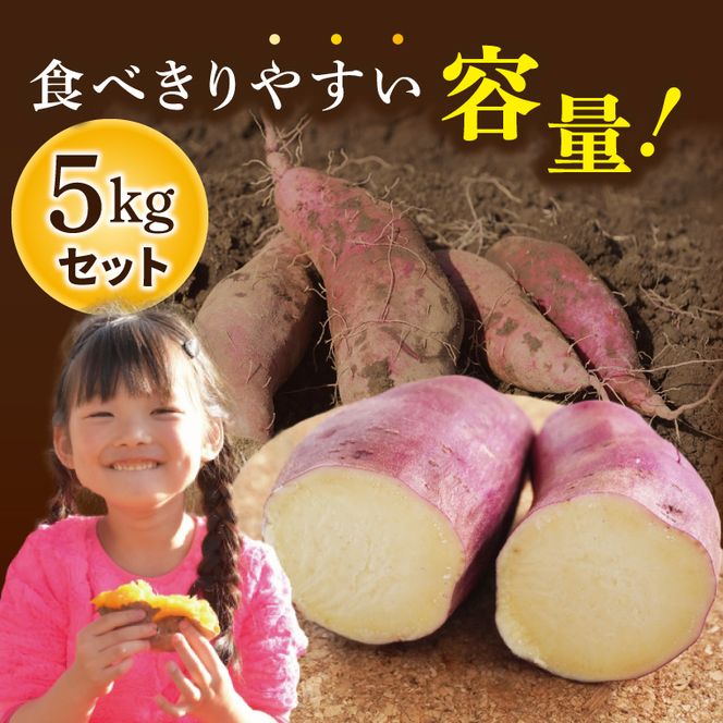 【先行予約】熟成さつまいも 紅はるか 5kg【10月中旬より順次発送予定】｜茨城県 大子町 サツマイモ べにはるか 芋 甘い ホクホク 野菜 数量限定 秋 旬 産地直送（CH001）