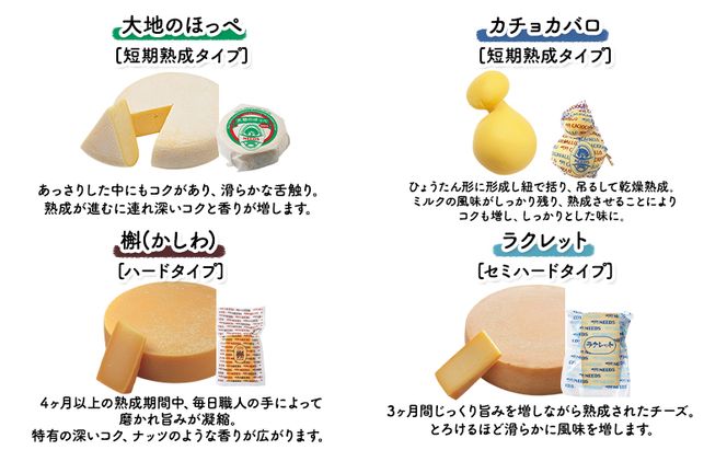 【メディアで多数紹介】 北海道 十勝 チーズアソート11種 / プレミアム食べ比べセット [チーズ工房NEEDS]【 チーズ 詰合せ セット バラエティ 槲 かしわ ラクレット モッツァレラ 大地のほっぺ さけるチーズ ミルクジャム 】