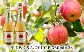 kanonzすぱあくりんご「 シードル 」360ml×2本 お酒 シャンパン スパークリングワイン 発泡酒 アルコール ワイン りんご リンゴ ご褒美 お祝 記念日 [株式会社八剣山さっぽろ地ワイン研究所]